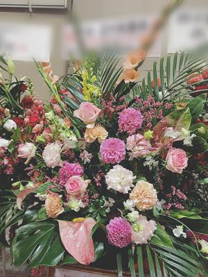 なーごーなぁぁ(・◇・) - 画像3