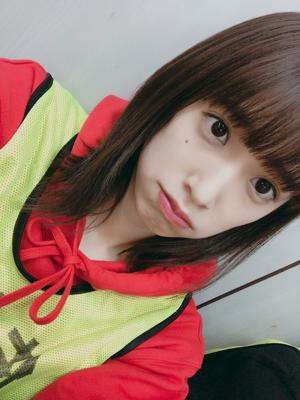 ルイボスティー - 画像2