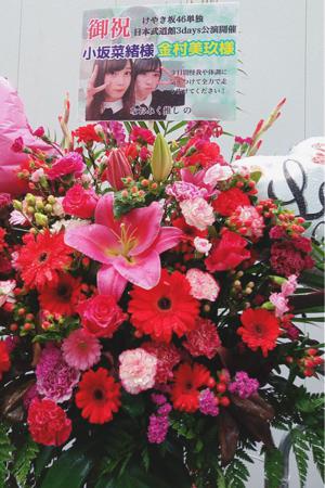 夢の武道館‼3日間ありがとう‼  金村美玖 - 画像5