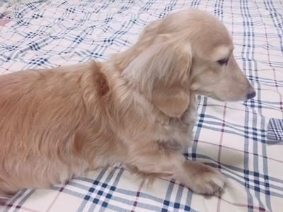 あおはぴ - 画像2