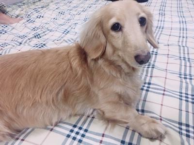 あおはぴ - 画像3