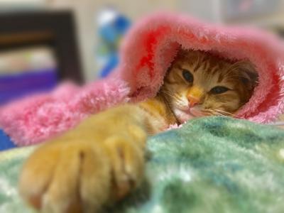 らんららーん🎶 - 画像2