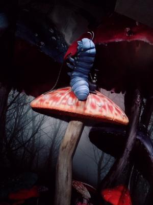 めみだい(・◇・) - 画像3