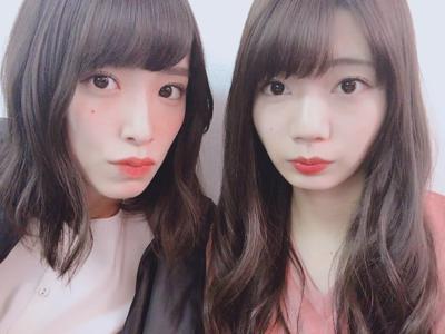 やみつきキャベツ - 画像4