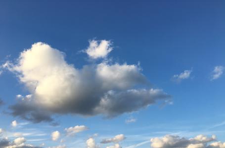 キリン  河田陽菜 - 画像4