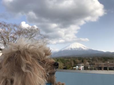 ダダンっ❗️即興の反対の言葉ってな〜んだっ❓ - 画像6