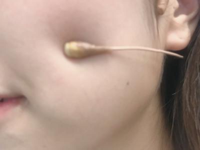 2人の共通点(・ω・) - 画像2