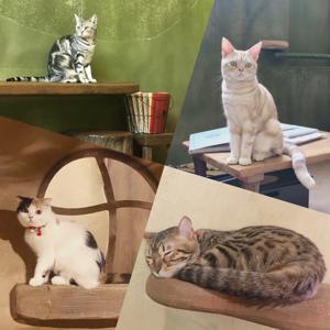 五月蝿い五月は五月晴れ  金村美玖 - 画像2