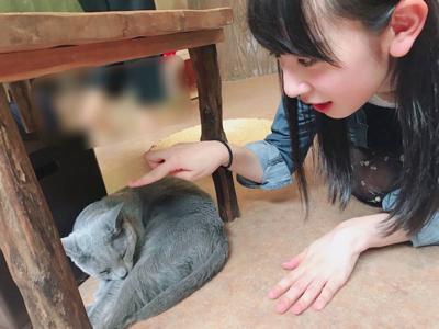 五月蝿い五月は五月晴れ  金村美玖 - 画像4