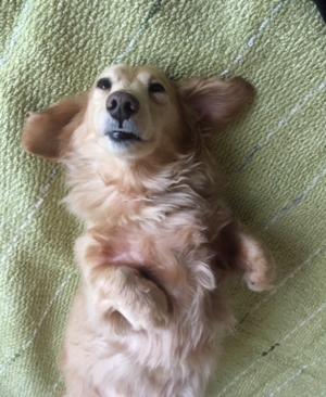 久しぶりの偶然🧚‍♀️ - 画像2