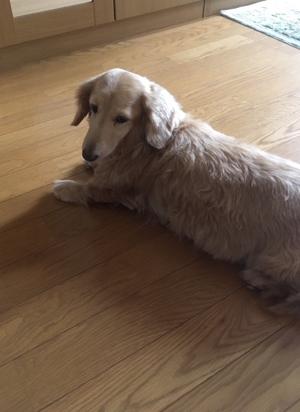 発売まであと5日！！ - 画像3