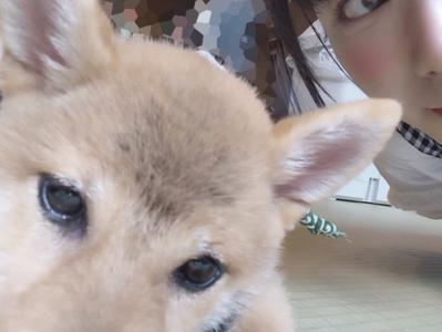 ~成長を求める~ - 画像2