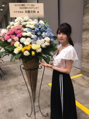 お花に癒されました(・ω・) - 画像6