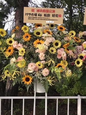 欅共和国！！ - 画像3