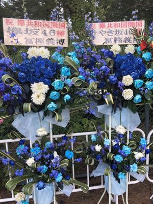 ファイティン(・ω・) - 画像6