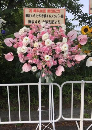 ファイティン(・ω・) - 画像7