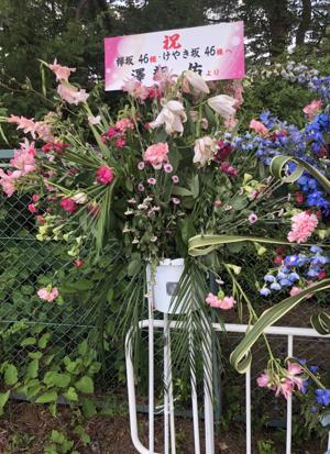 ファイティン(・ω・) - 画像9