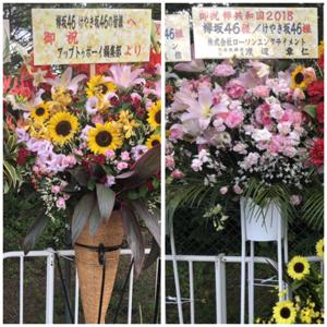 ファイティン(・ω・) - 画像10