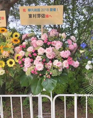 欅共和国 - 画像4