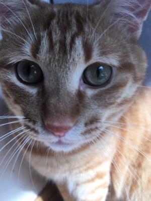 逸材の美少女おったで💛👀 - 画像2