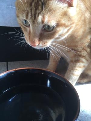 逸材の美少女おったで💛👀 - 画像3