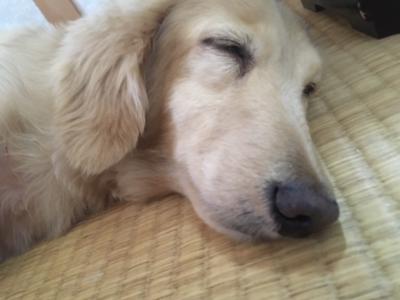 逸材の美少女おったで💛👀 - 画像4