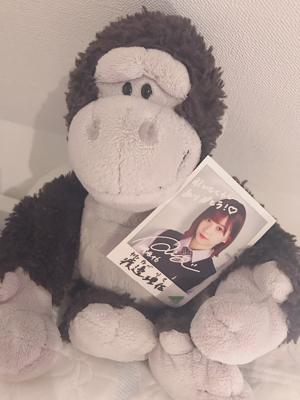 なんじゃこりゃ - 画像6