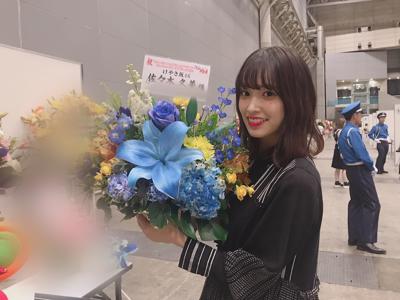 マンドリン - 画像13