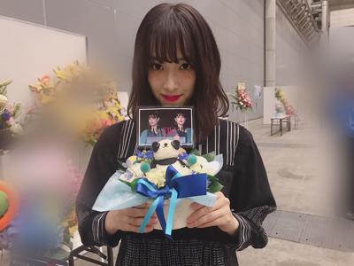 マンドリン - 画像16