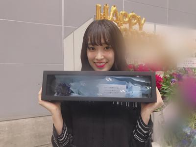 マンドリン - 画像9