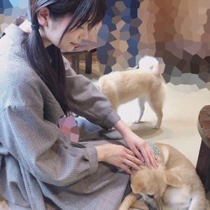 ~柔らかい、ほわほわ！~ - 画像7
