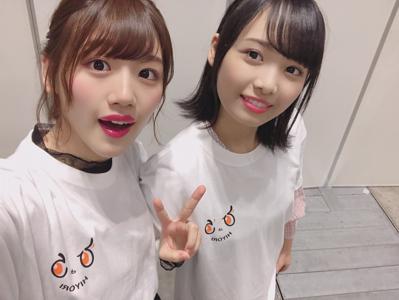 うちの太郎？どこの太郎？ひよ太郎！！ - 画像2