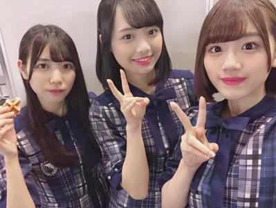 うちの太郎？どこの太郎？ひよ太郎！！ - 画像3