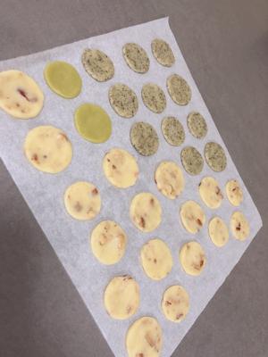 ステラです😌 - 画像2