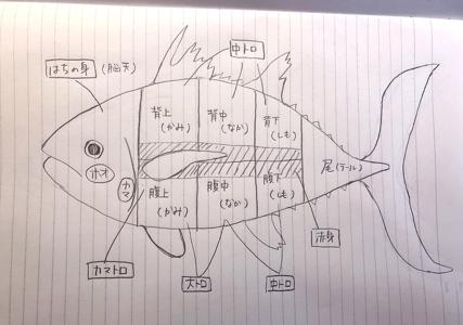 お寿司愛を伝えていきたい🍣vol.1 - 画像2