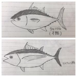 お寿司愛を伝えていきたい🍣vol.2 - 画像2