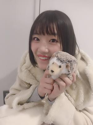 🍞ちゃんのクッキーはとしちゃんの大好物である(・ω・) - 画像4