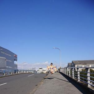 みかん - 画像4