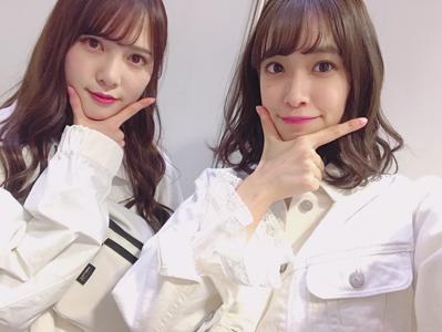 うみがめ - 画像4