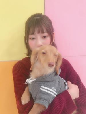 わん🐶 - 画像4