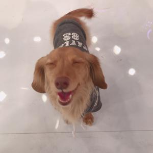 最近の濱岸ひより - 画像2