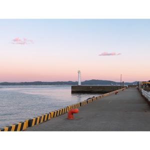 ときめき草ってどんなものだろう？ - 画像2