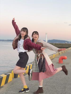 ときめき草ってどんなものだろう？ - 画像3