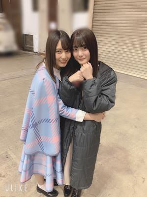 🌻🌺🌼🌸🌷 - 画像5