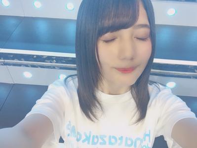 ひらがなけやきとしてのあゆみ、日向坂としてのあゆみ - 画像2