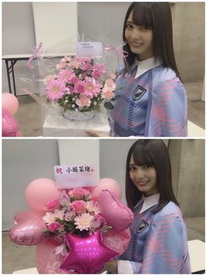 ひらがなけやきとしてのあゆみ、日向坂としてのあゆみ - 画像3