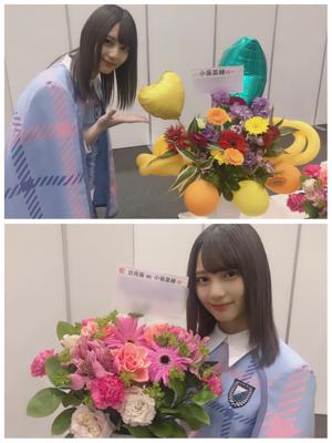 ひらがなけやきとしてのあゆみ、日向坂としてのあゆみ - 画像4