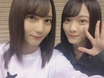 ひらがなけやきとしてのあゆみ、日向坂としてのあゆみ - 画像5