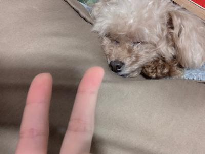 髪の毛はマキマキするだけでテンションが上がるんです！ - 画像2