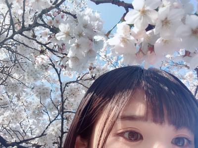 桜だね〜 - 画像2